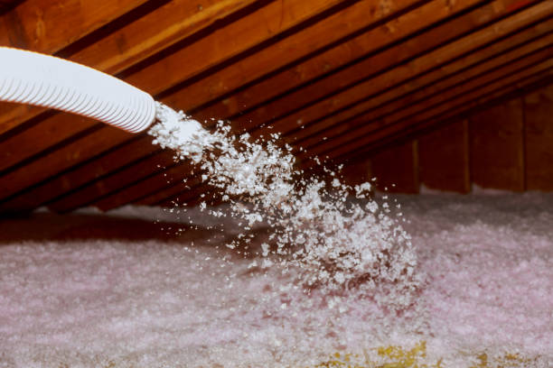Best Specialized Insulation Services in North Pekin, IL